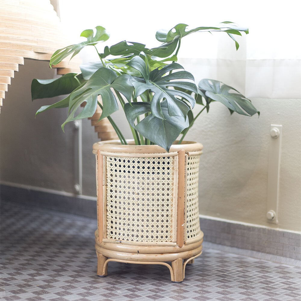 Rattan shelves for planting