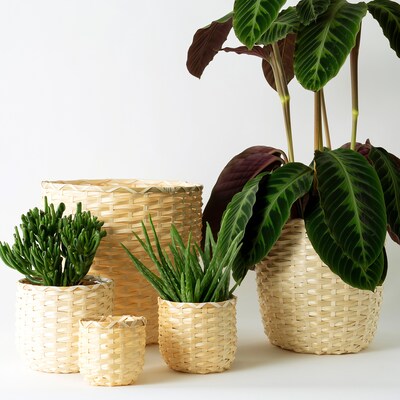Rattan planter