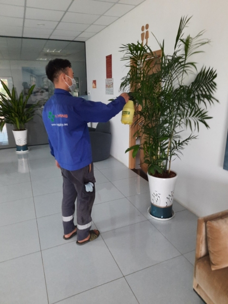 Tree care service