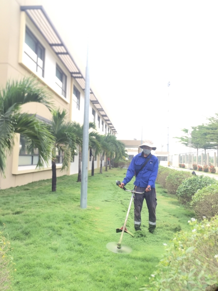 Grass caring & planting service