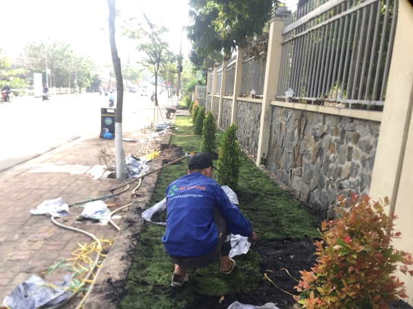 Grass caring & planting service
