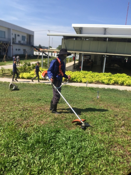 Grass caring & planting service