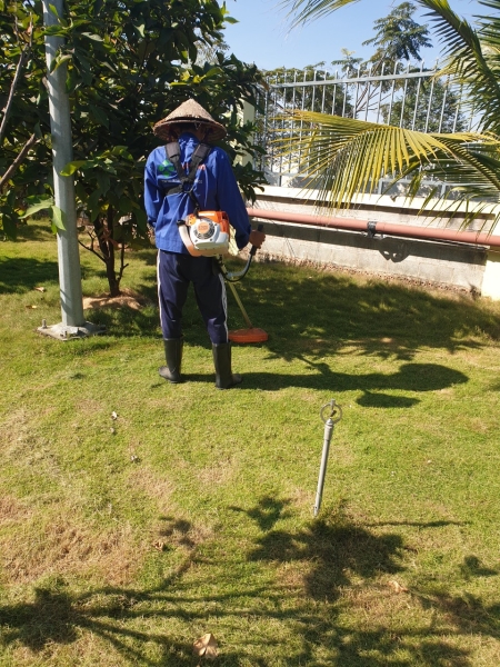 Grass caring & planting service