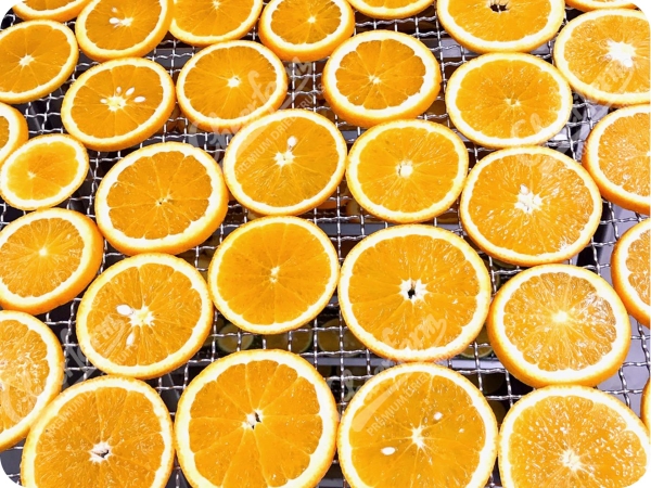 Dehydrated orange