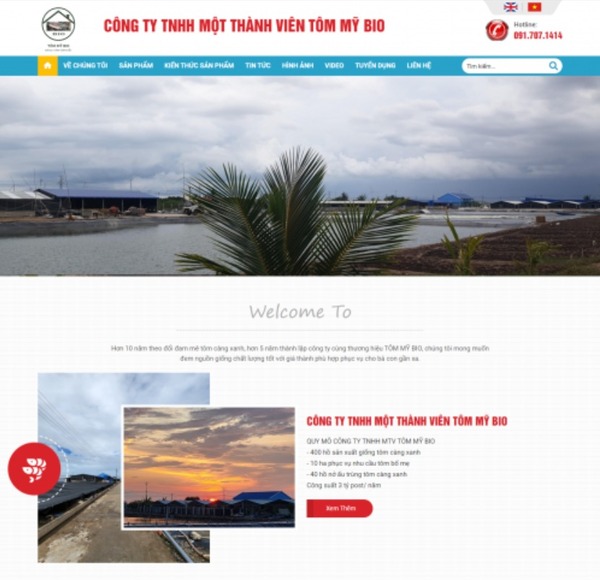 Web design and development services