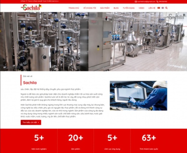 Web design and development services