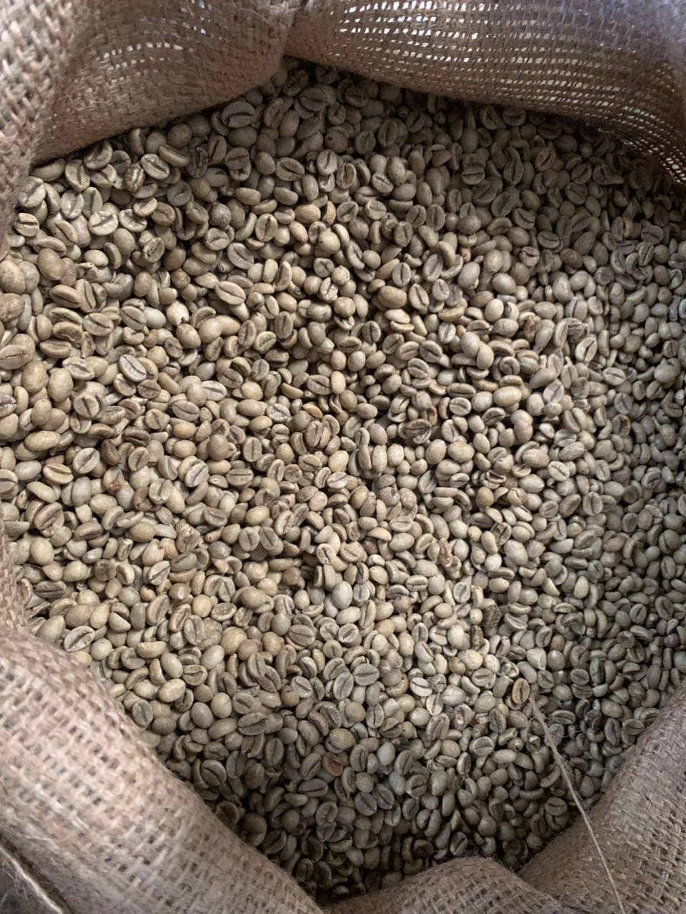 Coffee beans