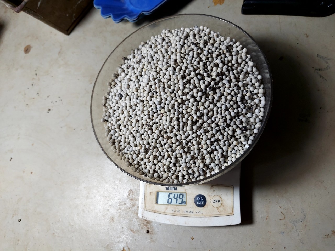Pepper