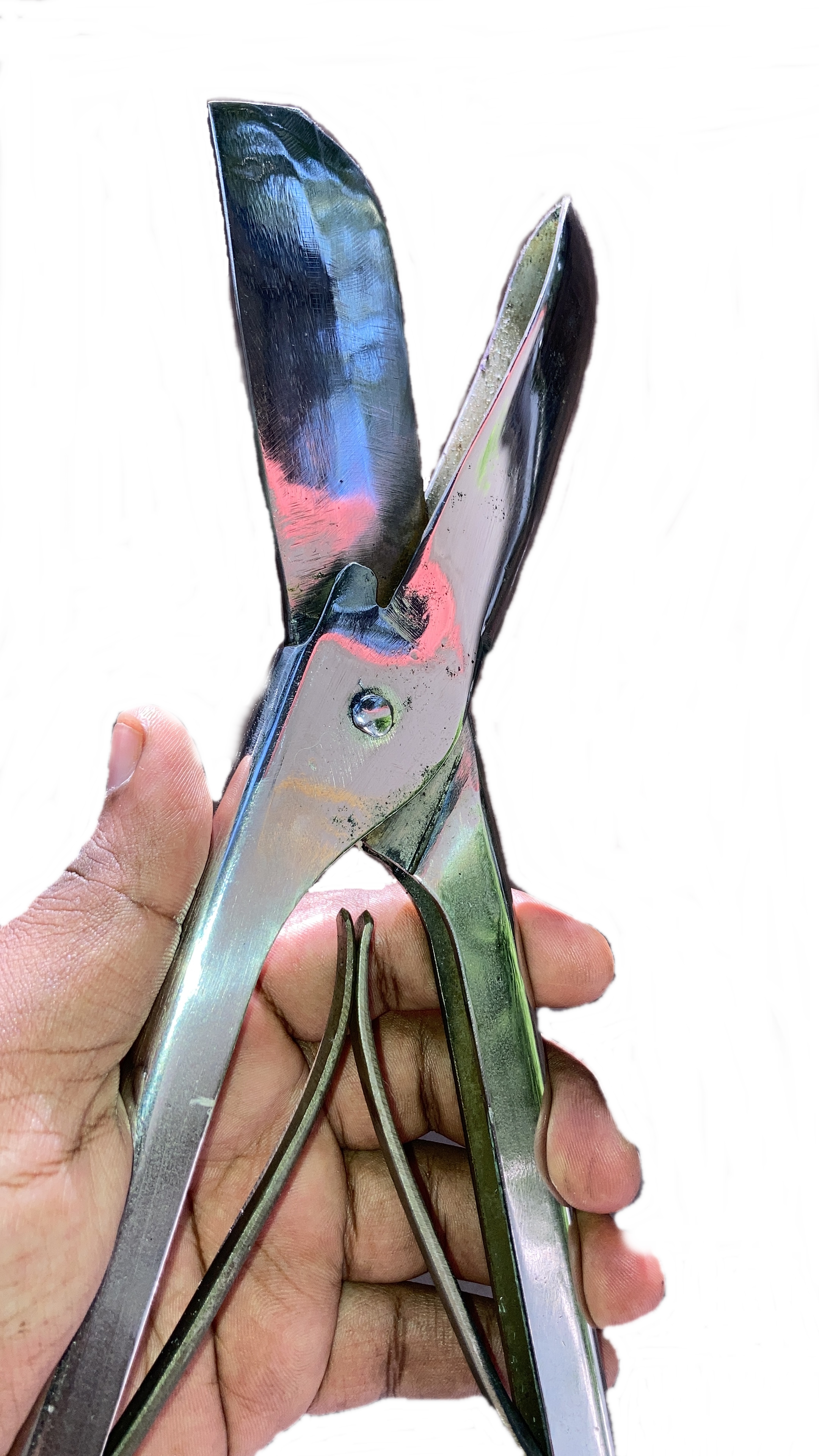 Cashew nut cutter