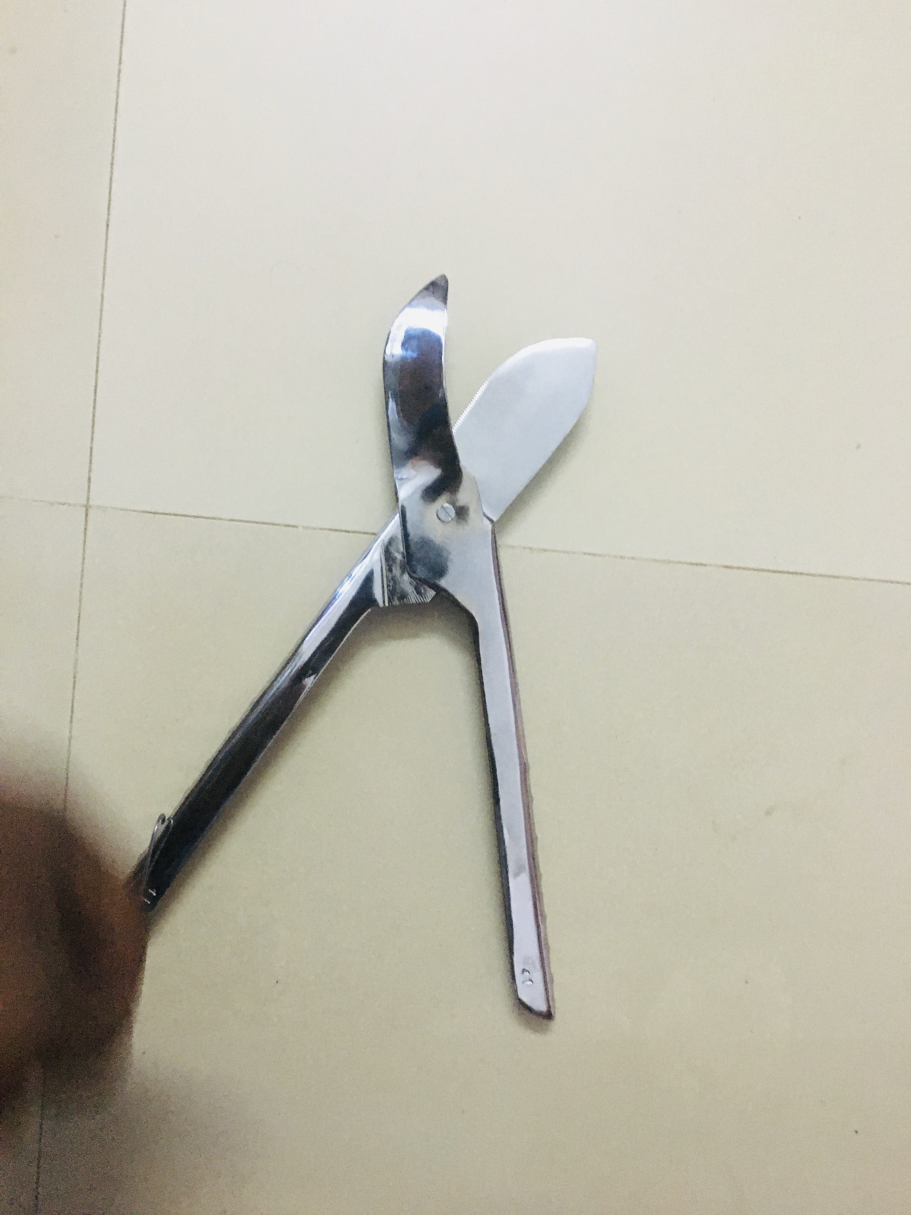 Cashew nut cutter