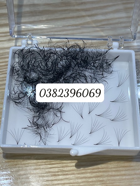 6D Fan Eyelashes