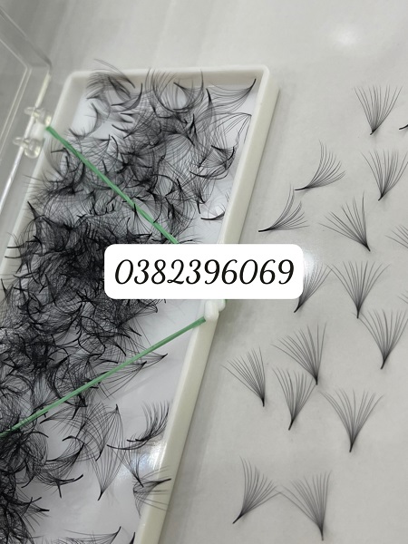 10D Fan Eyelashes