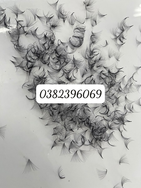 12D Fan Eyelashes