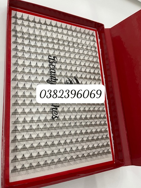 20D Fan Eyelashes