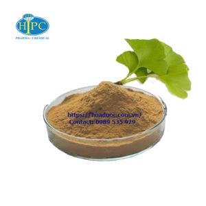 Ginkgo biloba extract
