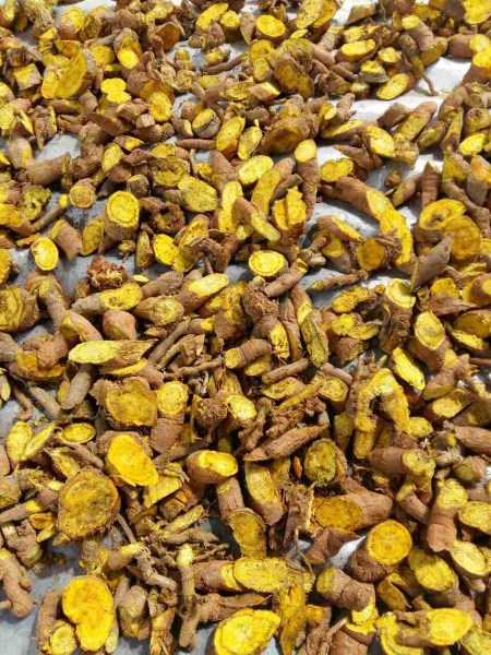 Medicinal Herbs