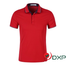 T-Shirt Collar