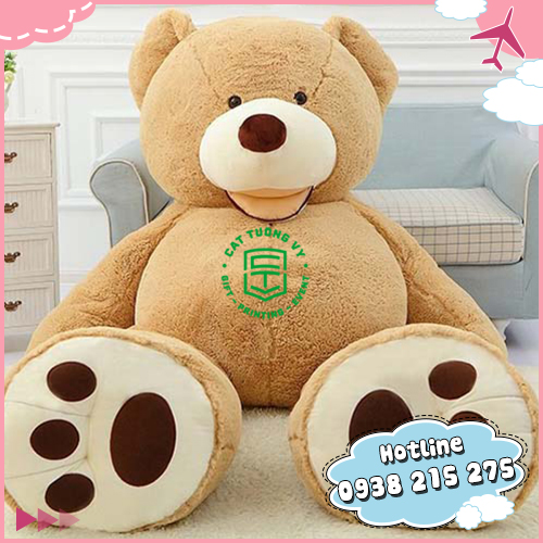 Teddy bear