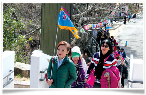 Tourist guide flag