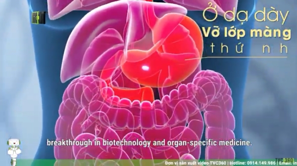 BH Med Organotherapy