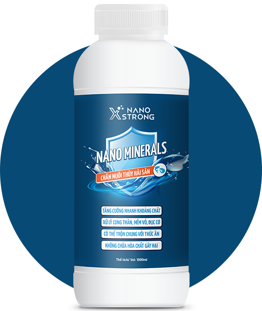 Nano minerals