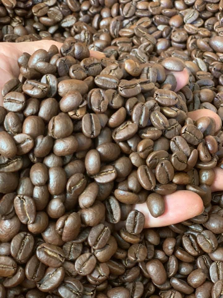 Coffee processing
