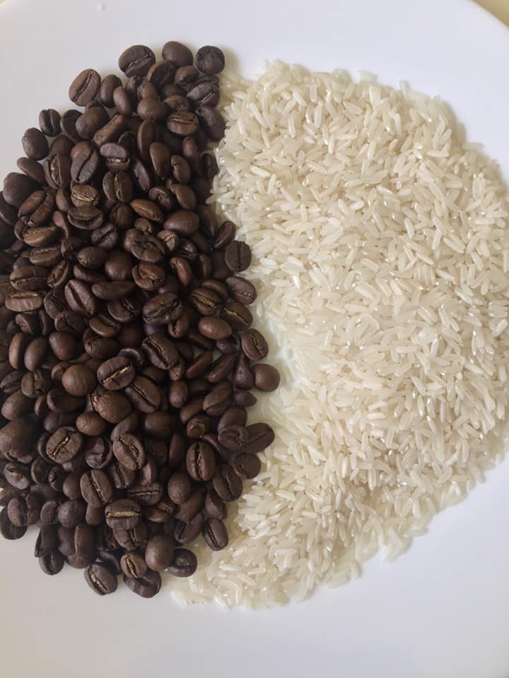 Coffee processing