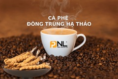 Cordyceps coffee manufacturing and processing