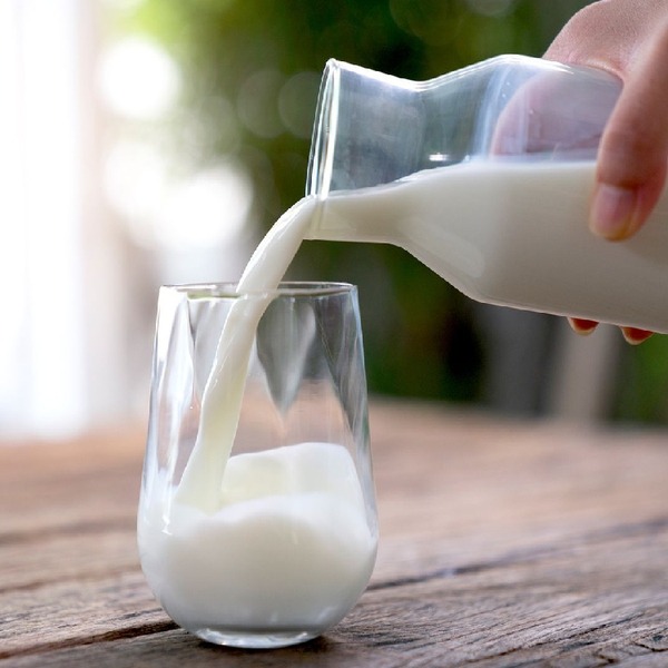 Nut milk processing