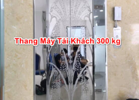 300kg Passenger elevator