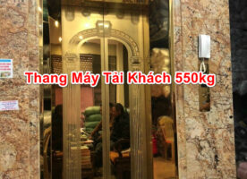 550kg Passenger elevator