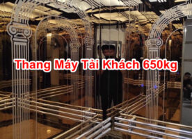 650kg Passenger elevator