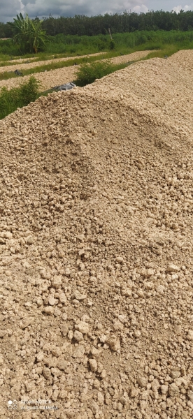 Tapioca Residue Lump