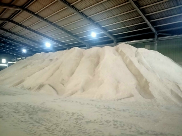 Dried Tapioca Residue