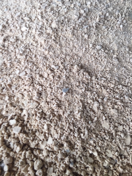 Wet Tapioca Residue