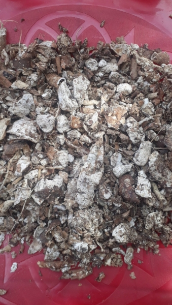 Cassava Peels