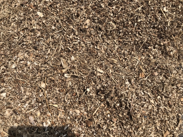 Cassava Peels