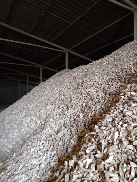 Cassava Slices