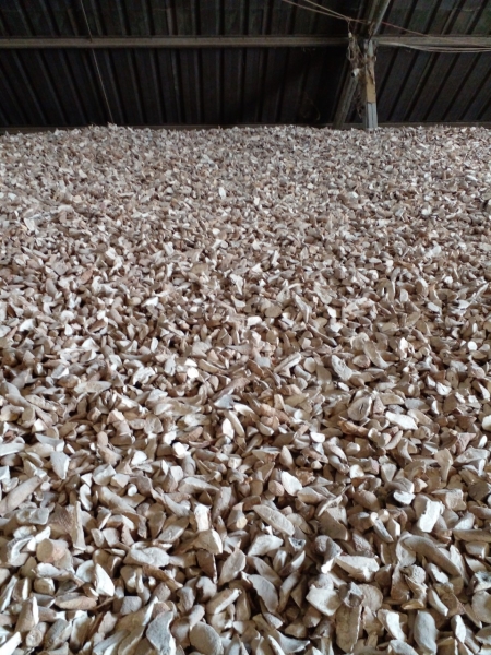 Cassava Slices