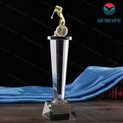 Sports trophy