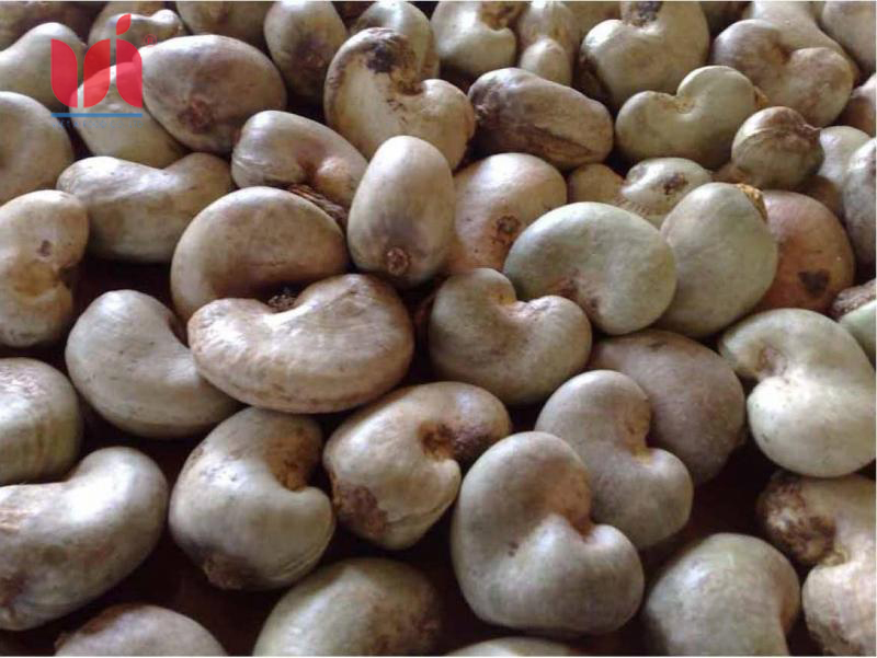 Raw cashew kernels