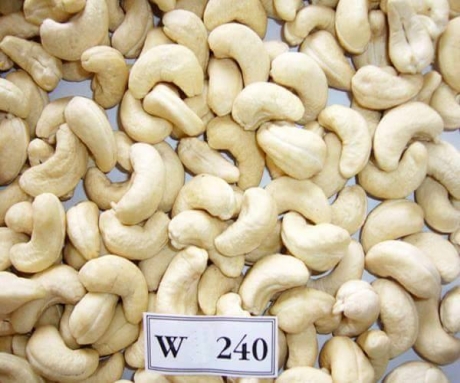 White cashew kernels