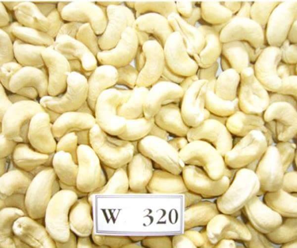 White cashew kernels