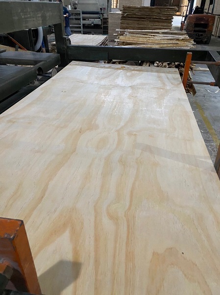 Pine Plywood