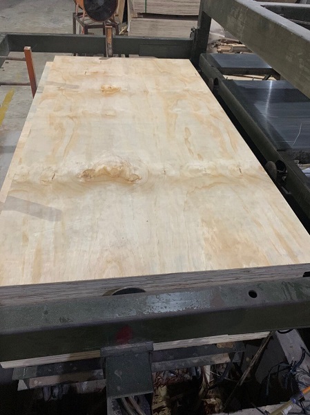 Pine Plywood