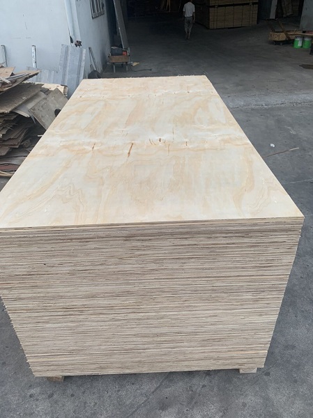 Pine Plywood