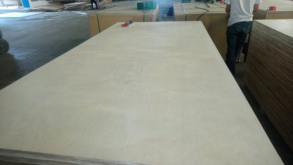 White Birch Plywood