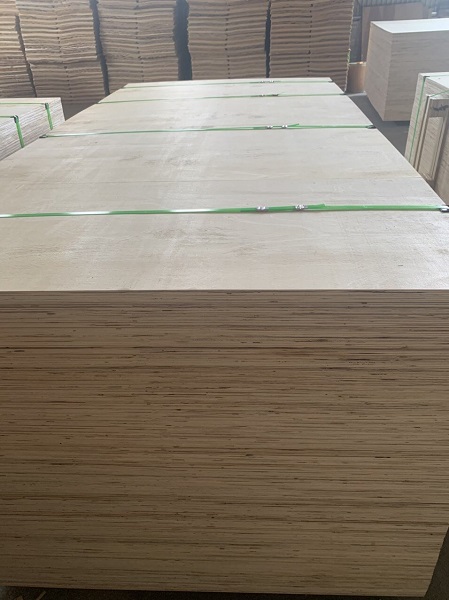 CDX Plywood