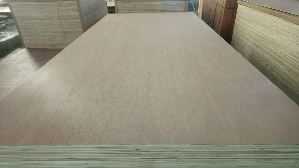 Okoume Plywood