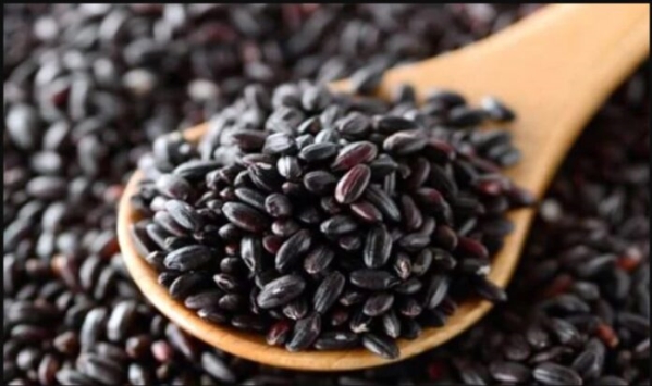 Glutinous rice